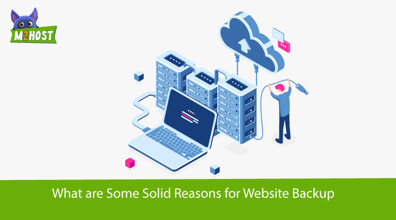 What are some solid reasons for website backup?